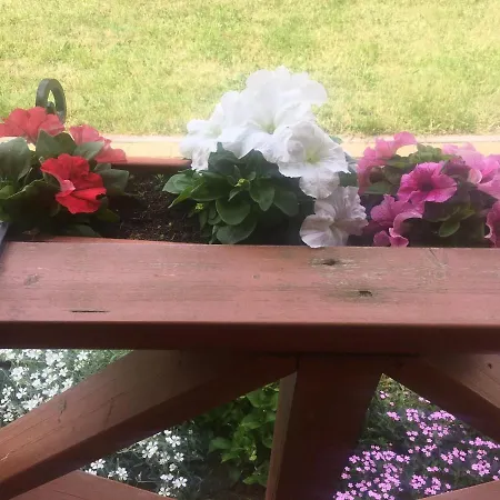 بيت للعطل Magnolia *