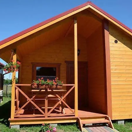 Magnolia ルシノボ